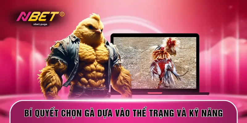 Bí quyết chọn gà dựa vào thể trạng và kỹ năng