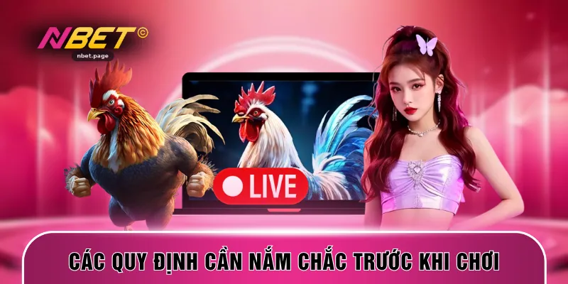 Các quy định cần nắm chắc trước khi chơi