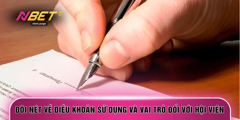 Đôi nét về điều khoản sử dụng và vai trò đối với hội viên
