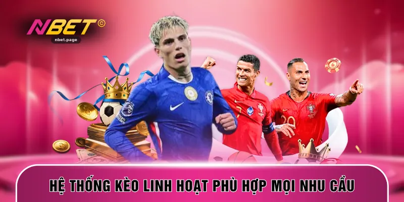 Hệ thống kèo linh hoạt phù hợp mọi nhu cầu