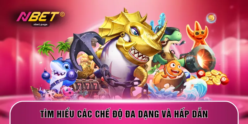 Tìm hiểu các chế độ đa dạng và hấp dẫn
