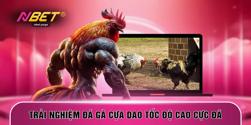 Trải nghiệm đá gà cựa dao tốc độ cao cực đã
