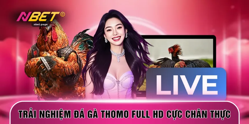 Trải nghiệm đá gà Thomo full HD cực kỳ chân thực